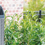 Understanding the New HVAC Efficiency Regulations
