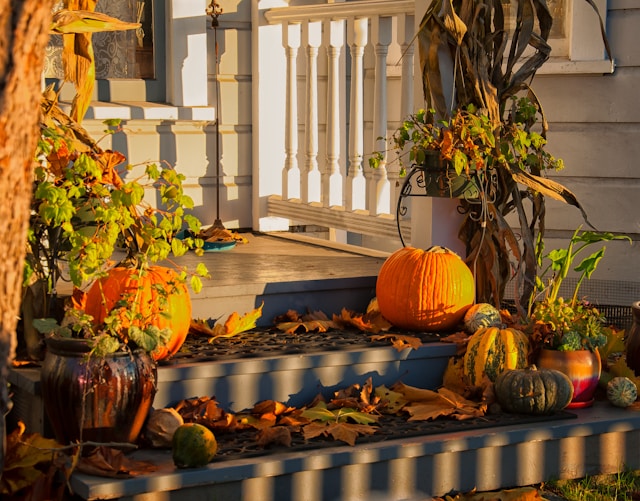 Why Fall Is the Best Time to Upgrade to a Heat Pump System